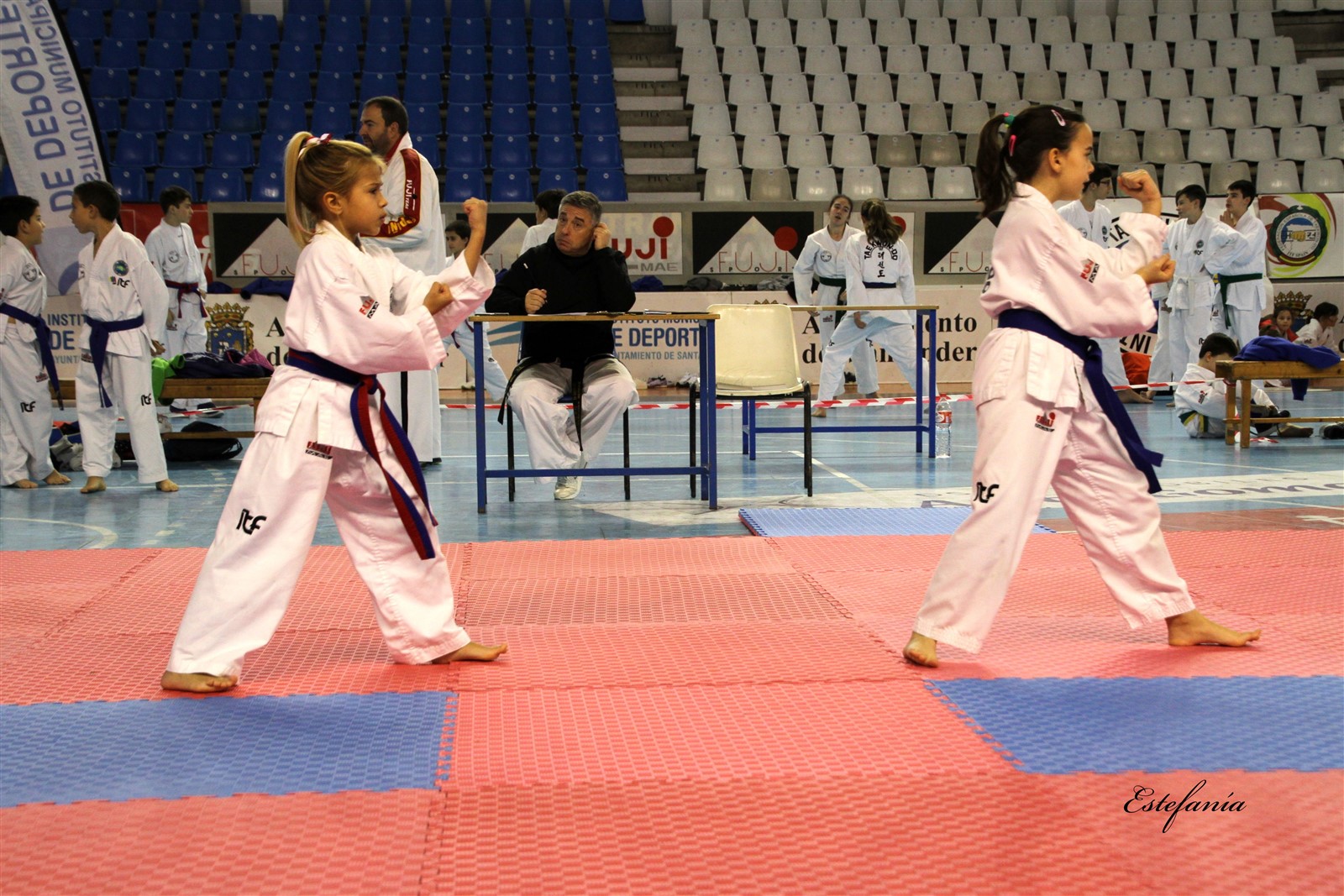 Taekwondo (153).jpg